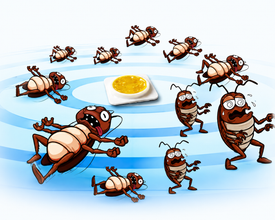 How cockroach bait pods work indoor pest control diagram